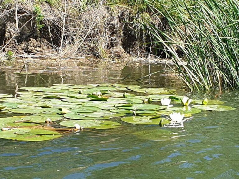 From Bucharest: 2-Day Danube Delta Wonders Small Group Tour - What’s Included and What to Consider