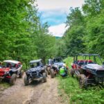 From Bucharest: BUGGY Quad Tour in the Carpathian Mountains - The Practicalities: Pricing and What You Pay For