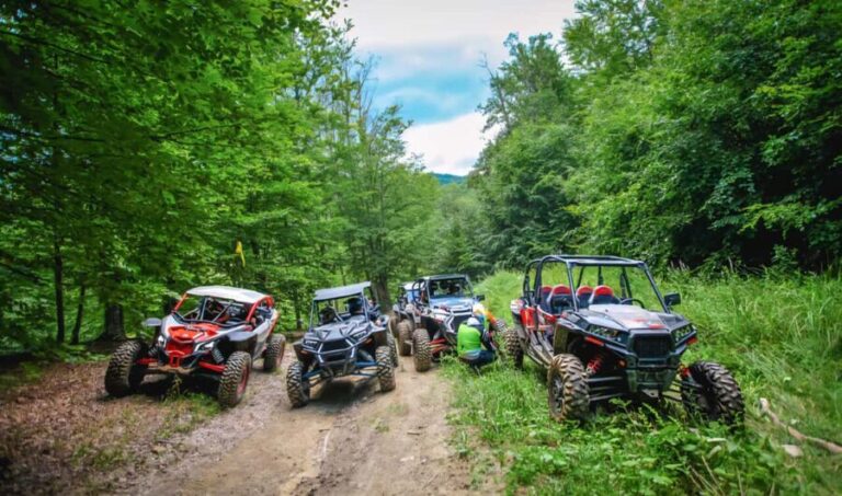 From Bucharest: BUGGY Quad Tour in the Carpathian Mountains - The Practicalities: Pricing and What You Pay For