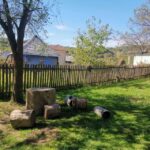 From Bucharest: Carpathian Villages and Sinaia Day Trip - Exploring the Transylvanian Villages