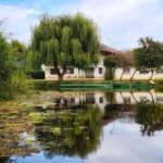 From Bucharest: Danube Delta Private Day Trip with Boat Tour - What’s Great About This Tour