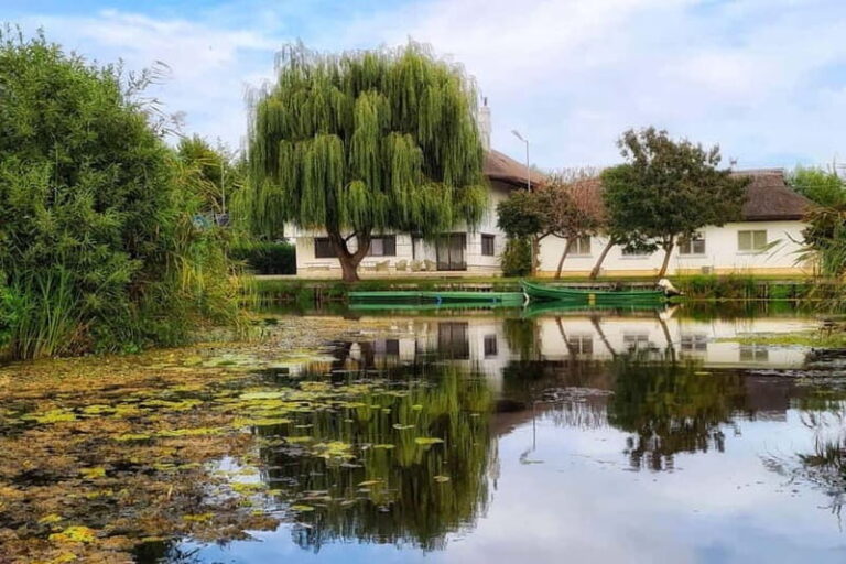 From Bucharest: Danube Delta Private Day Trip with Boat Tour - What’s Great About This Tour