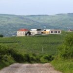 From Bucharest: Exclusive Dealu Mare Wine Tasting Tour - A Closer Look at the Itinerary