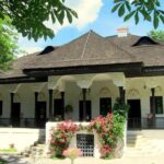 From Bucharest: Exclusive Wine Tasting Tour in Dealu Mare - The Itinerary: A Deep Dive