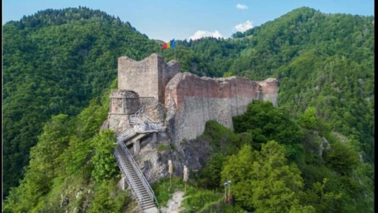 From Bucharest: Fgra Mountains and Bear Watching Tour - What Makes This Tour Stand Out?