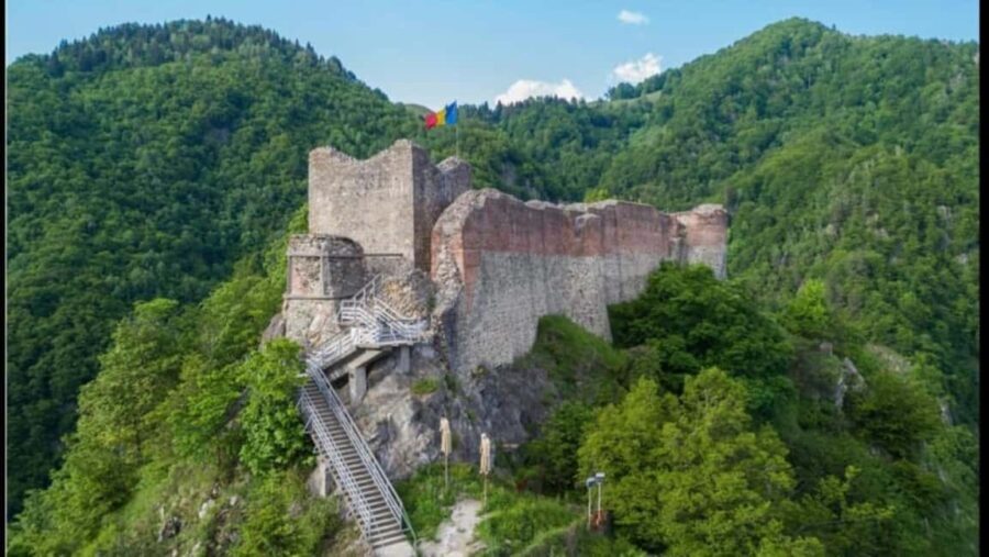 From Bucharest: Fgra Mountains and Bear Watching Tour