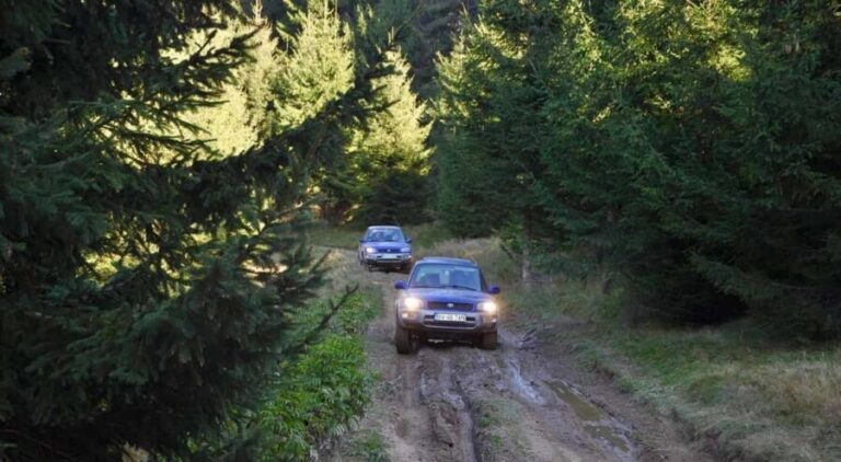 From Bucharest: Off-Road in the Carpathian Mountains - Value for Money