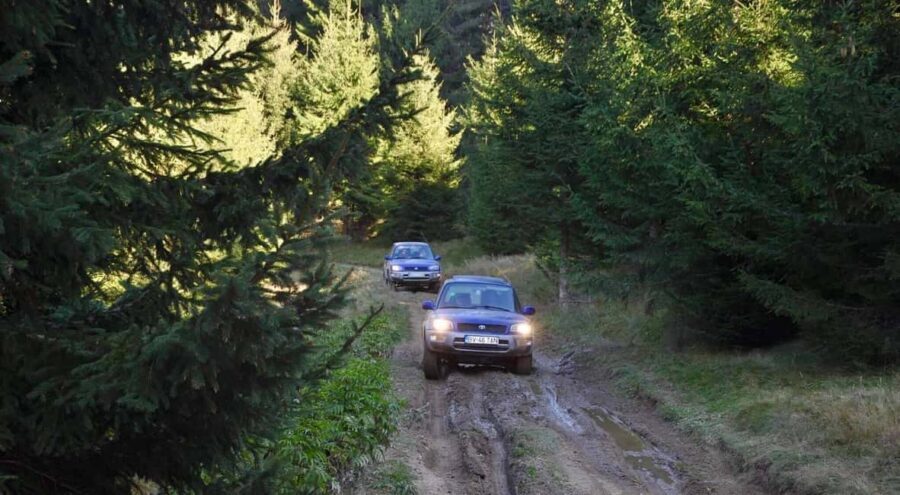 From Bucharest: Off-Road in the Carpathian Mountains - Value for Money