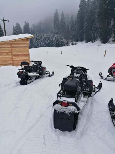 From Bucharest: Snowmobile Tour in the Carpathian Mountains - The Highlights: Castles, Mountains, and a Dash of History