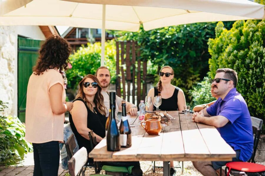 From Budapest: Half-Day Countryside Wine Tour with Meal - What We Love—and What Could Be Better