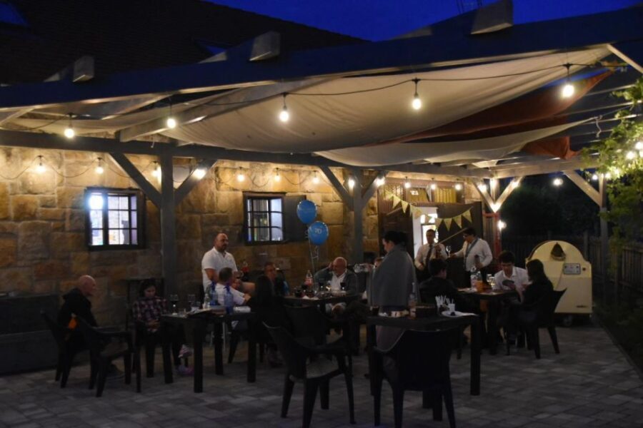 From Budapest: Half-day Monor wine tour with meal - What the Reviews Say