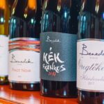 From Budapest: Mátra Hills Wine Tour - The Itinerary Breakdown