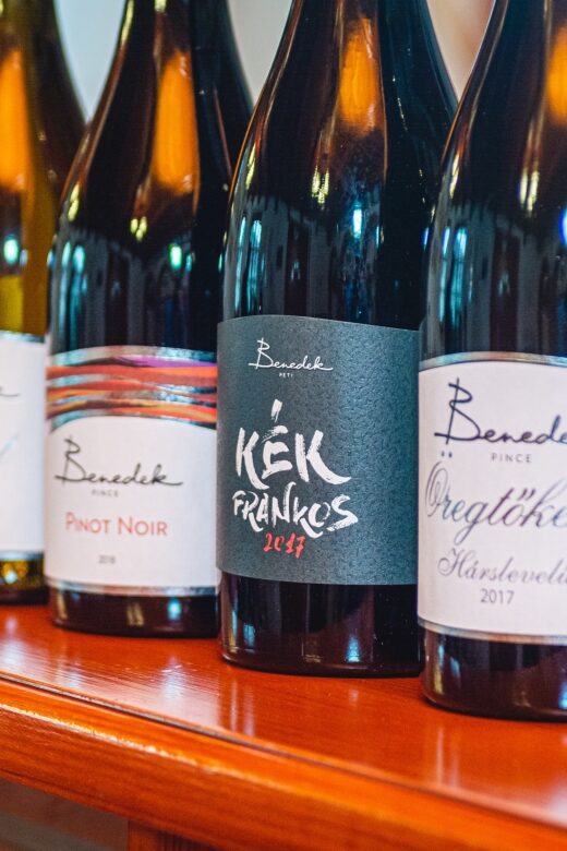 From Budapest: Mátra Hills Wine Tour - The Itinerary Breakdown