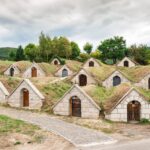 From Budapest: Tokaj Wine Tour with Tasting and Lunch - An In-Depth Look at the Tokaj Wine Tour