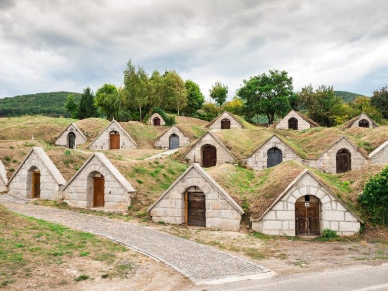 From Budapest: Tokaj Wine Tour with Tasting and Lunch - An In-Depth Look at the Tokaj Wine Tour