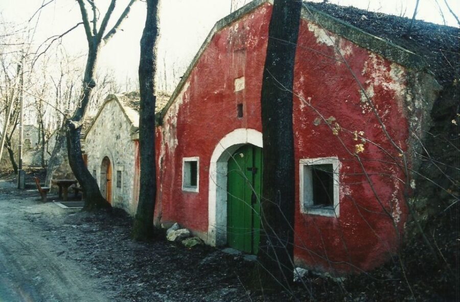 From Budpaest: Páty Wine Village Tour with Tastings - The Experience in Detail