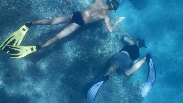 From Cala Gonone: snorkeling in the Orosei Gulf - Key Points