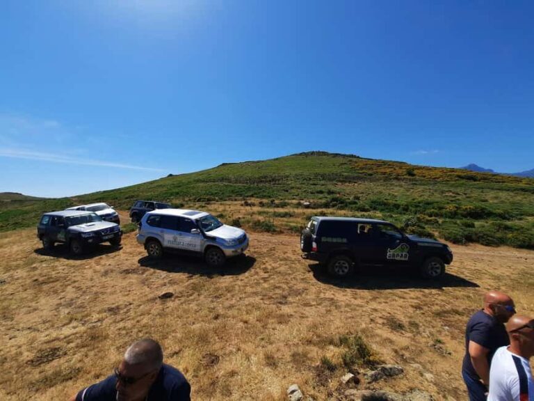 From Calvi: 4x4 Day Tour Mountain & Agriates' Saleccia Beach - The Hidden Gem: Saleccia Beach