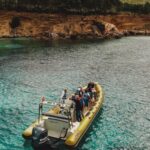 From Can Picafort: Dolphin Watching and Cave Boat Trip - A Deep Dive into the Experience