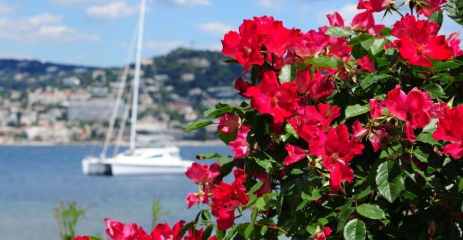 From Cannes:Shore excursion to Grasse,Antibes,St PauldeVence - In-Depth Look at the Itinerary