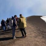 From Catania, Acireale, Giarre: Mount Etna Half-Day Trip - The Value and Who This Tour Is Best For