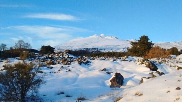 From Catania: Guided Tour of Mount Etna and Taormina - Is it Worth the Price?