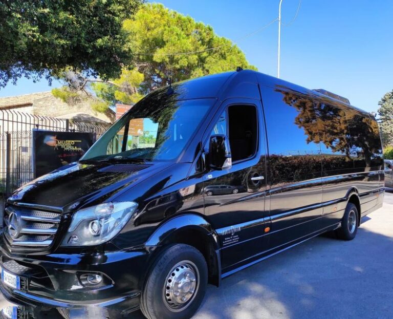 From Catania: Inspector Montalbano audio-guided tour - The Sum Up