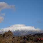 From Catania: Mount Etna Half-Day Tour and Wine Experience - The Experience in Detail