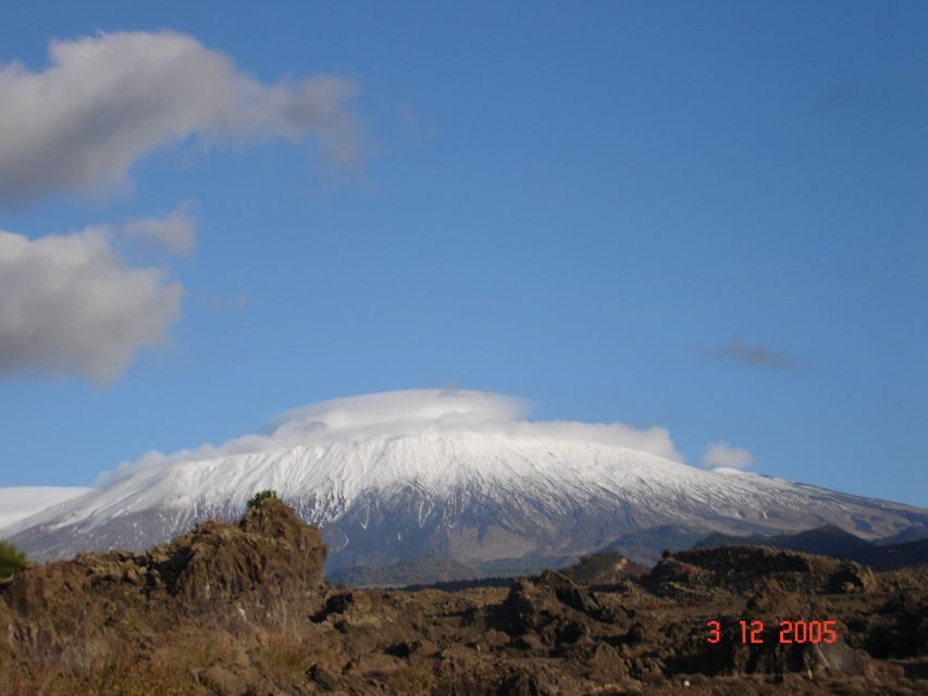 From Catania: Mount Etna Half-Day Tour and Wine Experience - The Experience in Detail