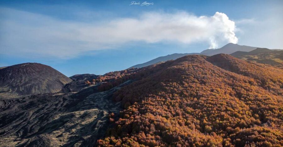 From Catania: Mt. Etna, Wine and Alcantara Tour with Lunch - What Makes This Tour Stand Out?