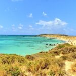 From Chania Area: Day Trip to Elafonisi Island by Bus - The Experience from a Traveler’s Perspective