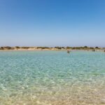 From Chania: Elafonisi and Falasarna Guided Tour with Snacks - The Real Perks and Downsides