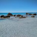 From Chania: Falassarna Beach, Wine & Olive Oil Private Tour - The Overall Experience