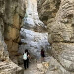 From Chania: Imbros Gorge Hike&Authentic Culinary Experience - Who Is This Tour Best For?