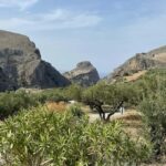 From Chania: Wine, Honey & Olive Oil Private Tour - The Experience in Detail: What You Can Expect
