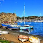 From Chester: Full-Day Guided North Wales Sightseeing Tour - Practical Details and What to Expect