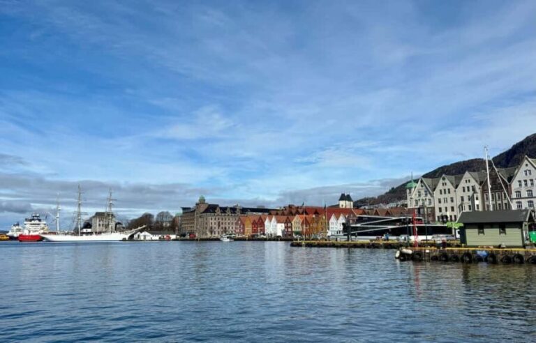 From City Lights to Fjord Sights - Citywalk and Oster Fjord - Practical Details and What to Expect