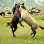 From city of Side: Ormana Village Day Tour with Lunch - A Deep Dive into the Experience