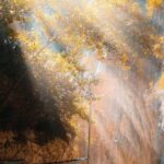 From City of Side: Sapadere Canyon Tour with Pickup & Lunch - What’s in the Price?