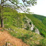 From Cluj: Gorges of Crisul Repede River - The Itinerary in Detail