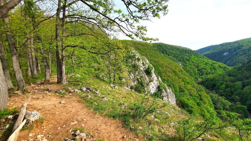 From Cluj: Gorges of Crisul Repede River - The Itinerary in Detail