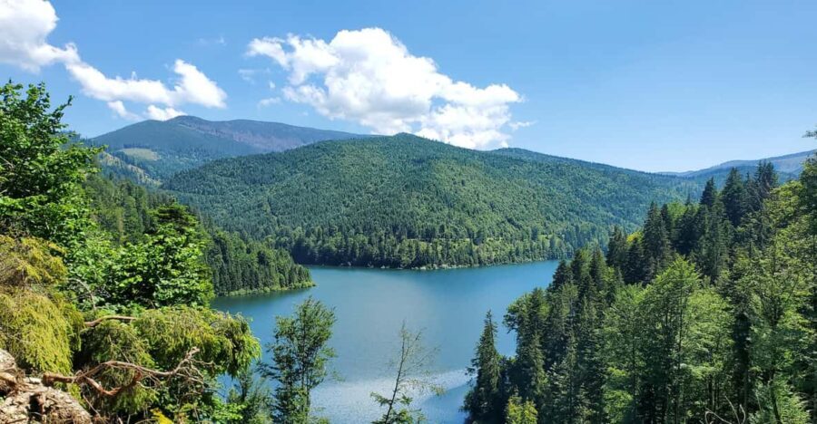 From Cluj: Mountain Bike around Lake Dragan - The Authentic Charm: From the Guides to the Views