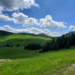 From Cluj-Napoca: Carpathian Mountains Guided Scenic Hike - Who Is This Tour Best For?
