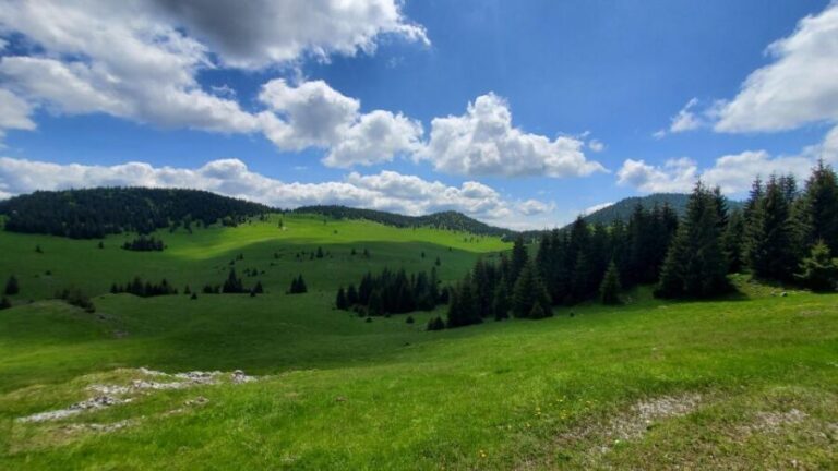 From Cluj-Napoca: Carpathian Mountains Guided Scenic Hike - Who Is This Tour Best For?