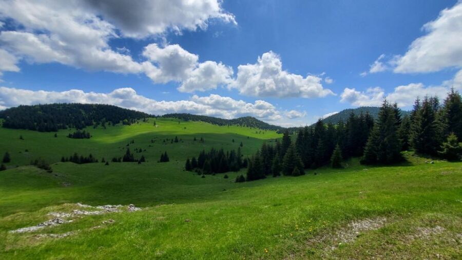 From Cluj-Napoca: Carpathian Mountains Guided Scenic Hike - Who Is This Tour Best For?