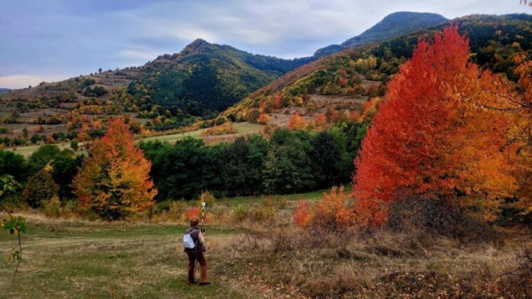 From Cluj: Turda Salt Mine, Gorge, and Remetea Full-Day Trip - What Makes This Tour Stand Out?