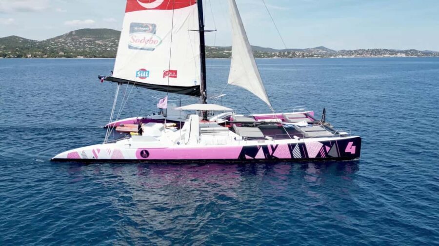 From Cogolin/Cavalaire: Cap Taillat Catamaran Day Tour - Who Is This Tour Best For?