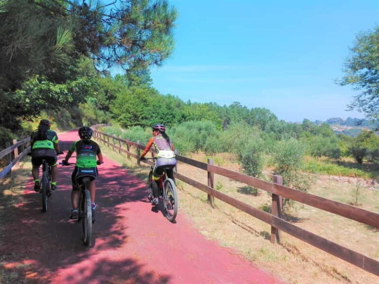 From Coimbra: Cycling on the Dão Ecotrail - What Makes This Tour Stand Out