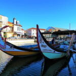 From Coimbra: Tour to Aveiro, Costa Nova beach and Moliceiro boat - Price and Value