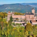 From Colmar: Alsace wine route tour Full Day - Who Is This Tour Best For?